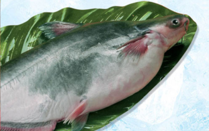 Cá basa - thực phẩm tuyệt vời cho sức khỏe
