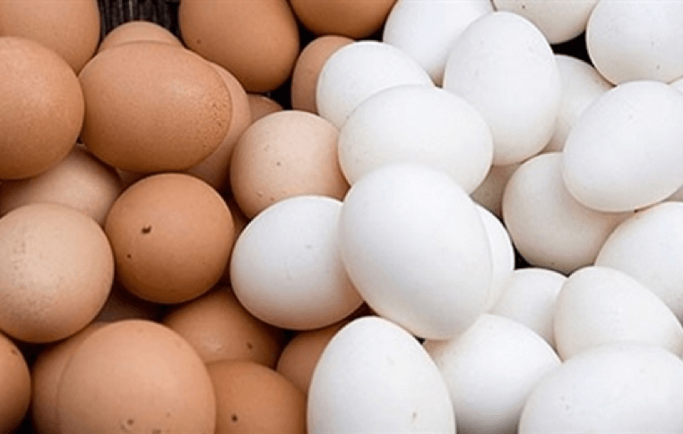 Đặt trứng gà và trứng vịt lên bàn cân dinh dưỡng, trứng nào tốt hơn?
